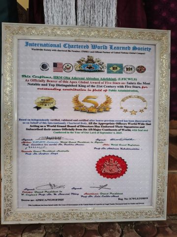 Africa IT Consultancy (48)